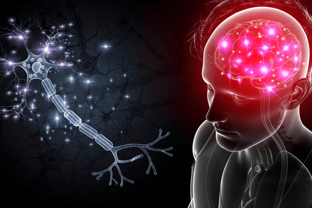 Let’s Talk About Brain Cell Signaling and Astrocytes | BRAINWeek